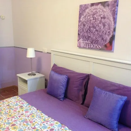 B&B Dimora Paolina Baschi Exterior photo